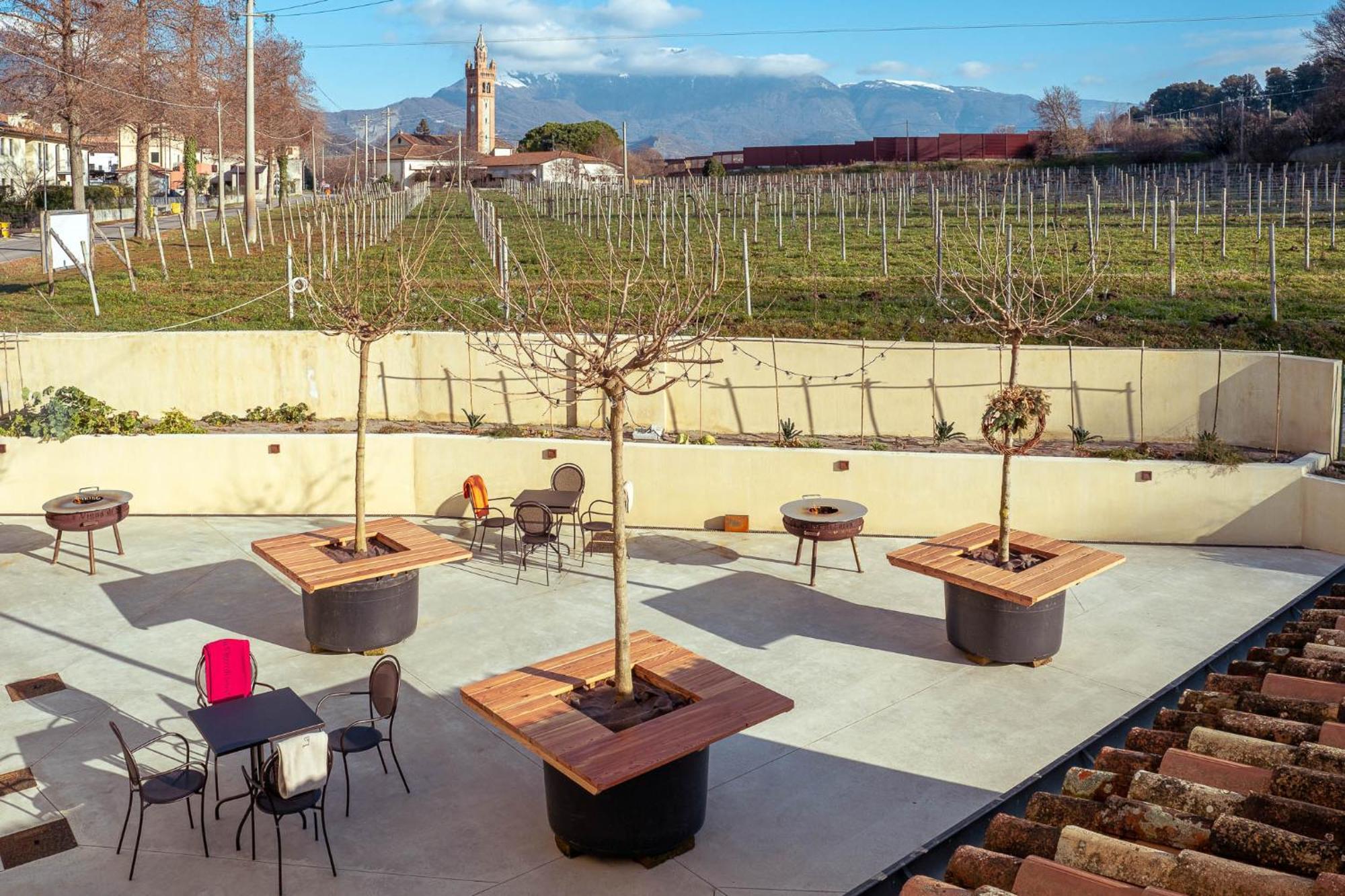 Agriturismo La Vigna Di Sarah Vittorio Veneto Exterior foto
